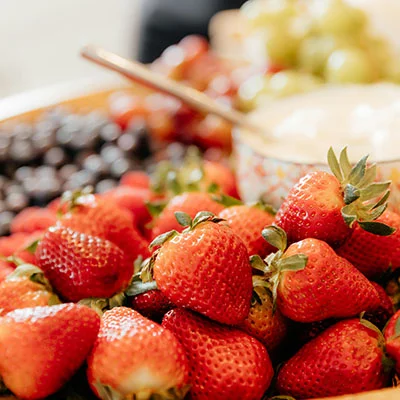 安卓用户必备：Shadowrocket完整下载配置指南与深度体验分享