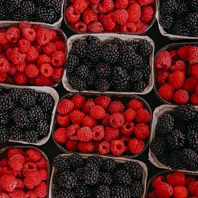 Actininu + V2Ray 完整配置教程：构建安全、稳定、高效的科学上网方案