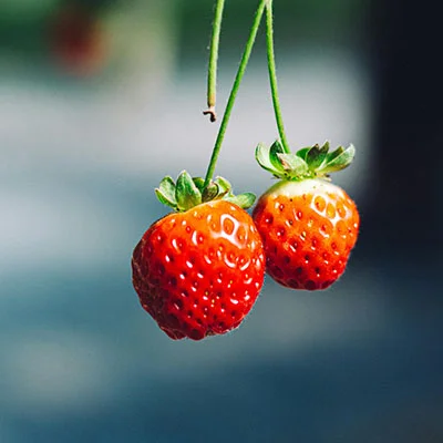 3月20日|18.4M/S，SSR节点/Clash节点/Shadowrocket节点/V2ray节点|免费订阅机场|每天更新免费梯子